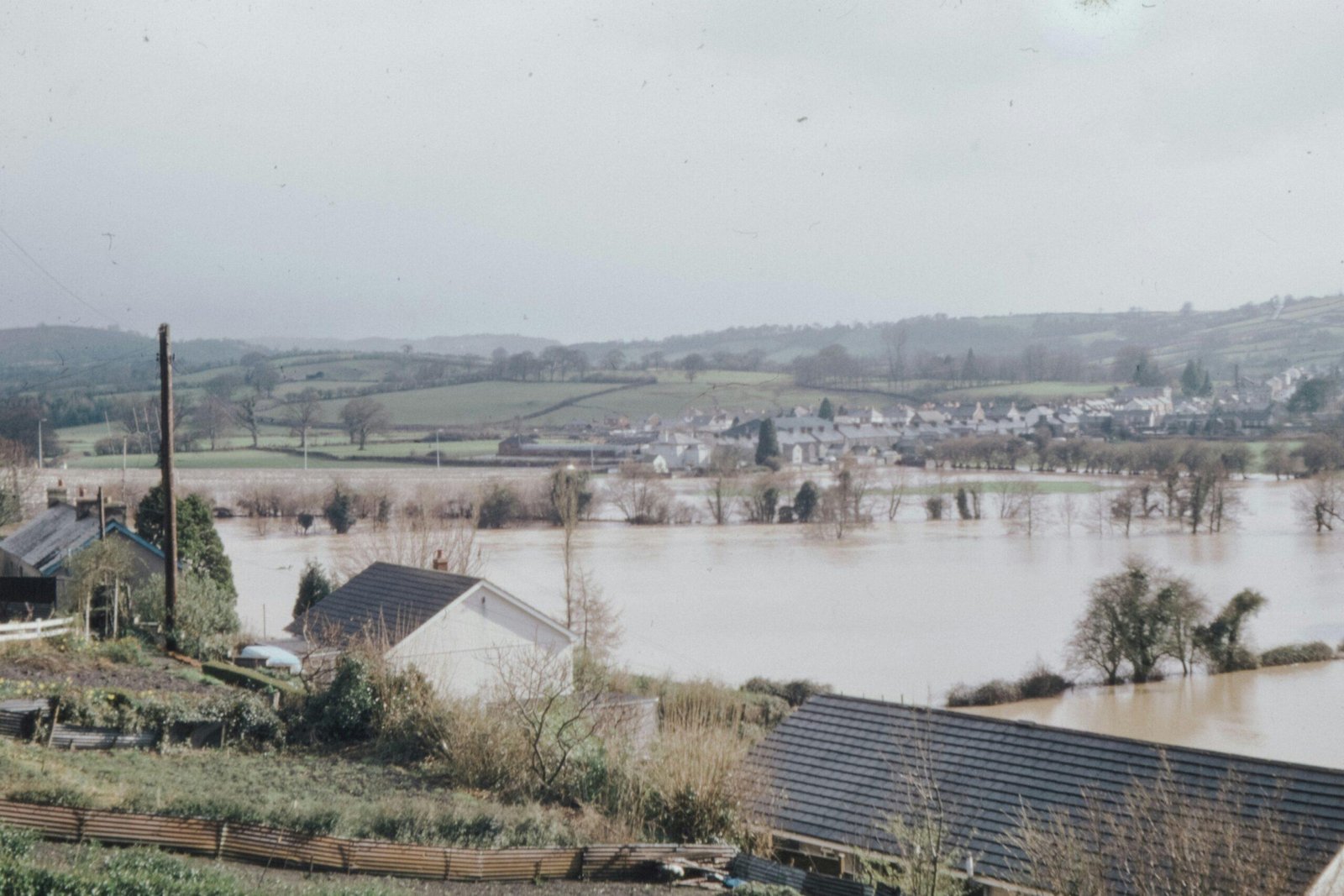 flooded home with pets