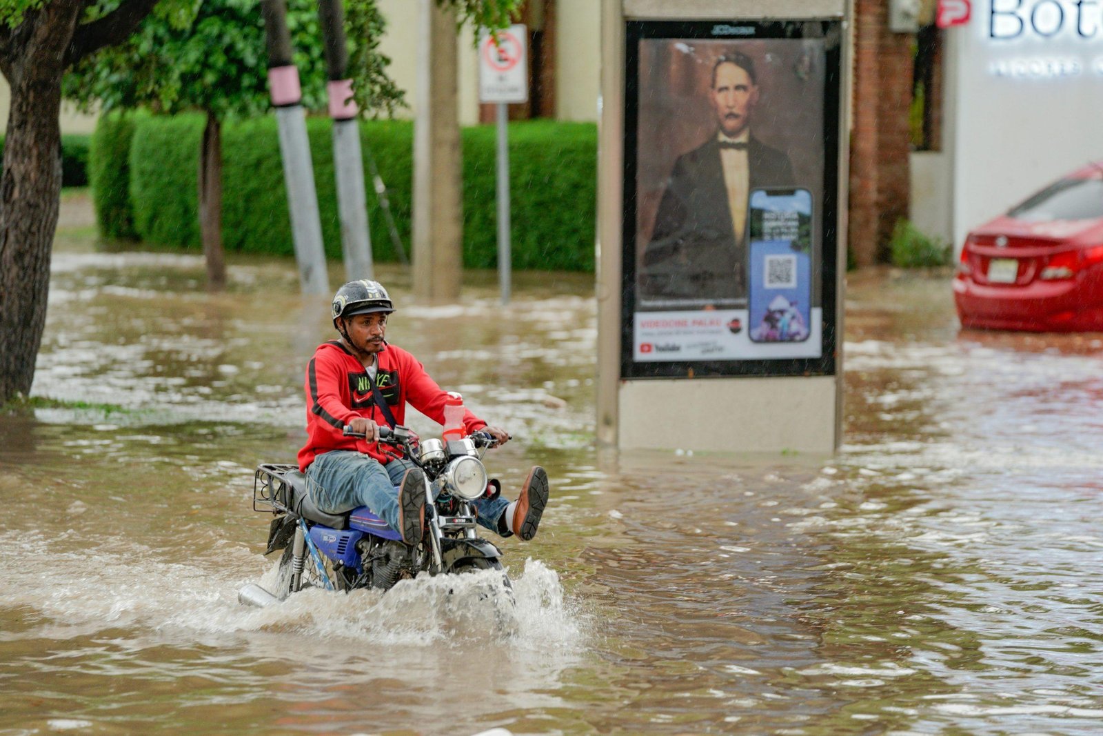 flooded neighborhood with pets
