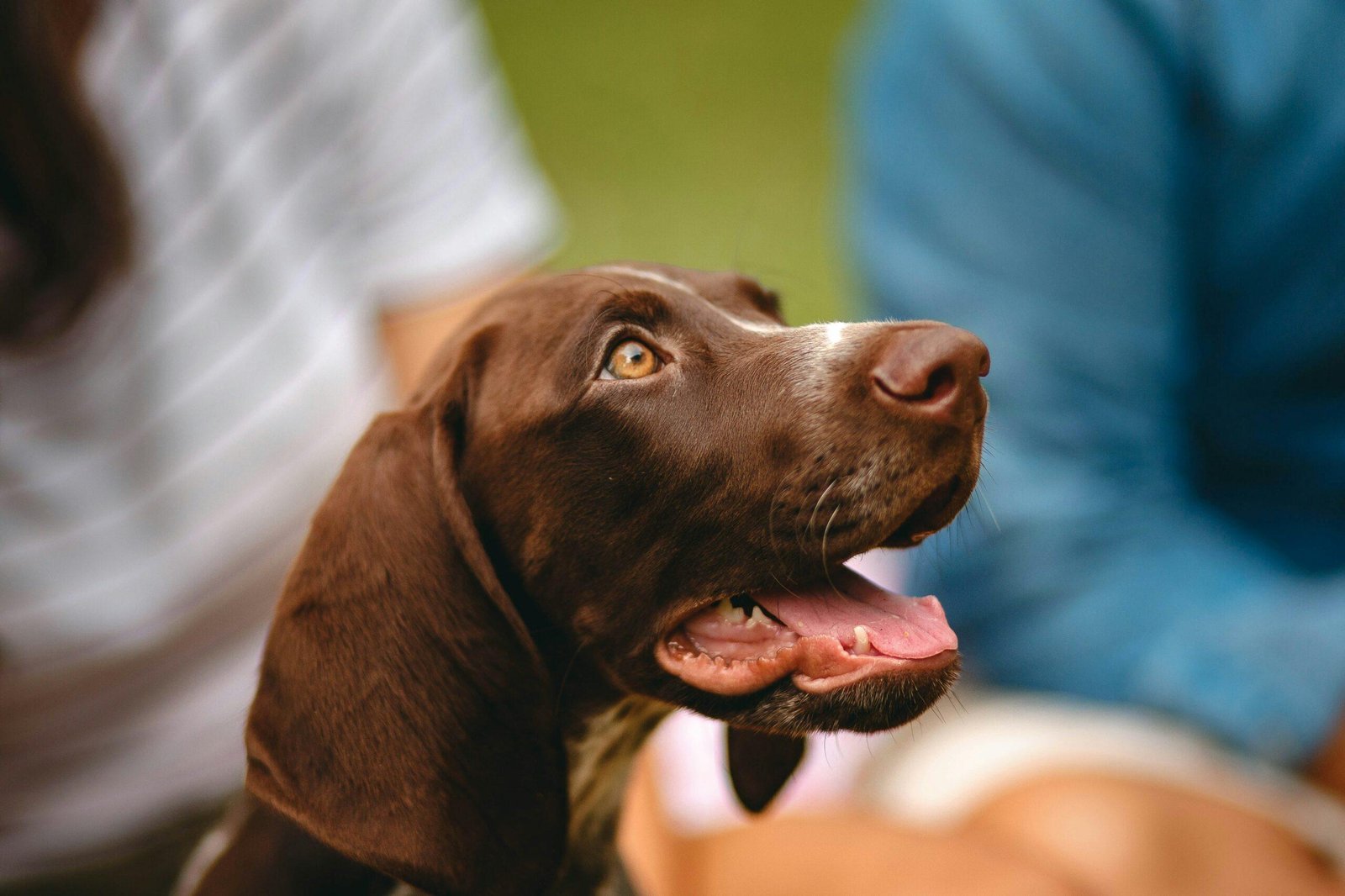 Group photo of people attending a pet rescue training session outdoors.