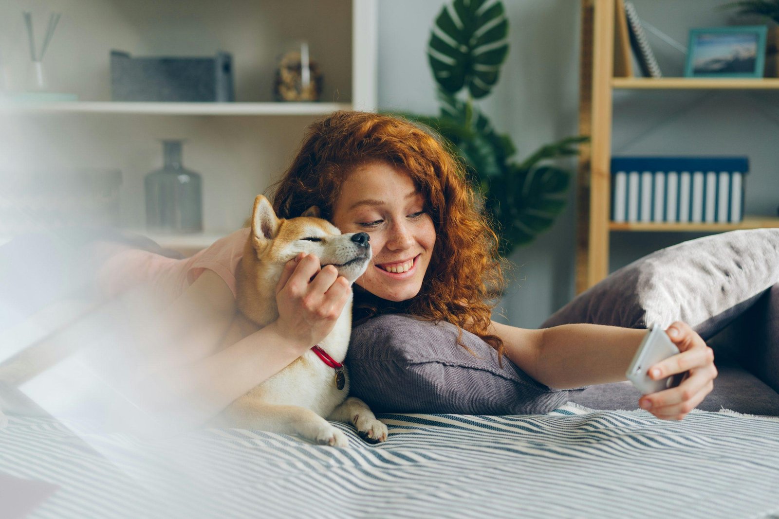 Infographic showing benefits of pet-friendly hotels