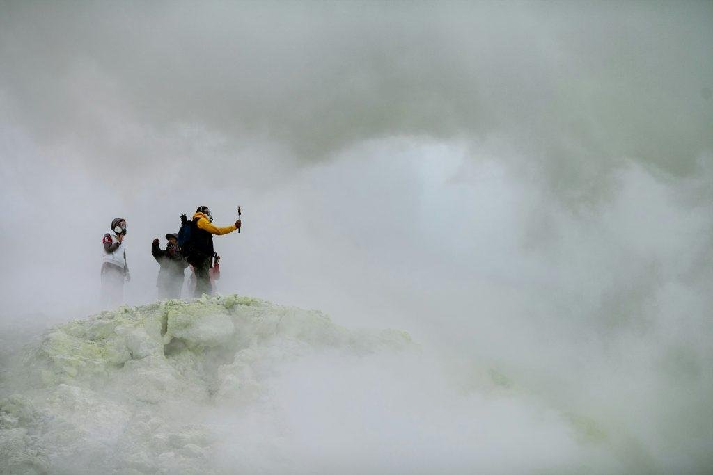 storm rescue team with dog