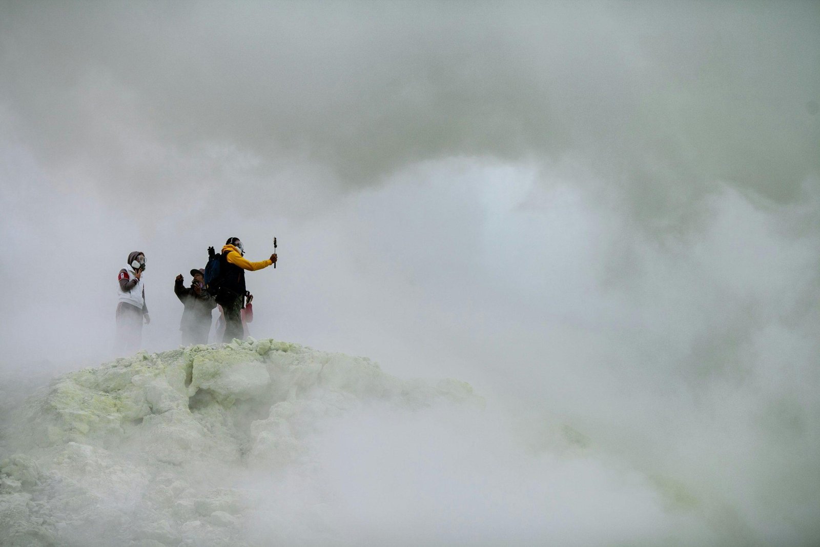 storm rescue team with dog