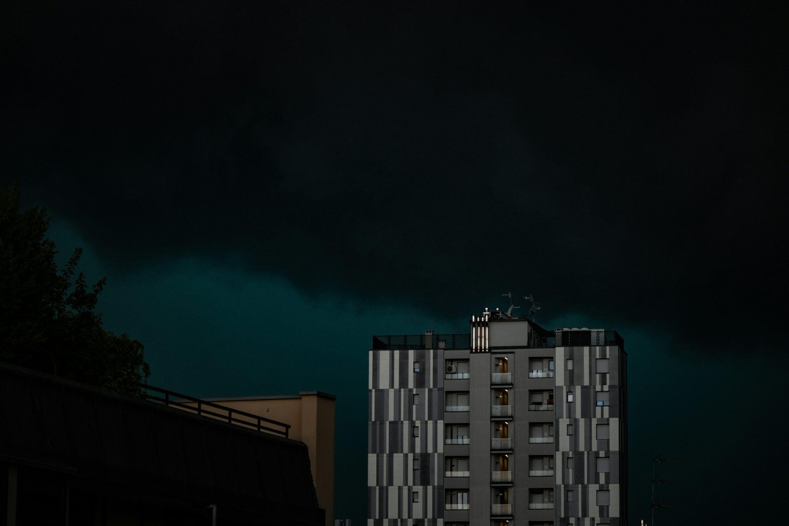 Comparison table of pet insurance plans highlighting relocation coverage