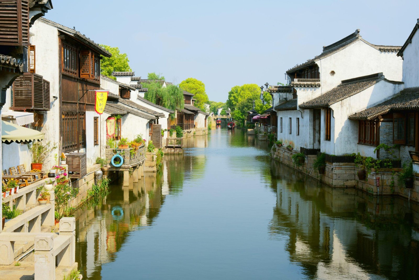 flooded neighborhood with pets