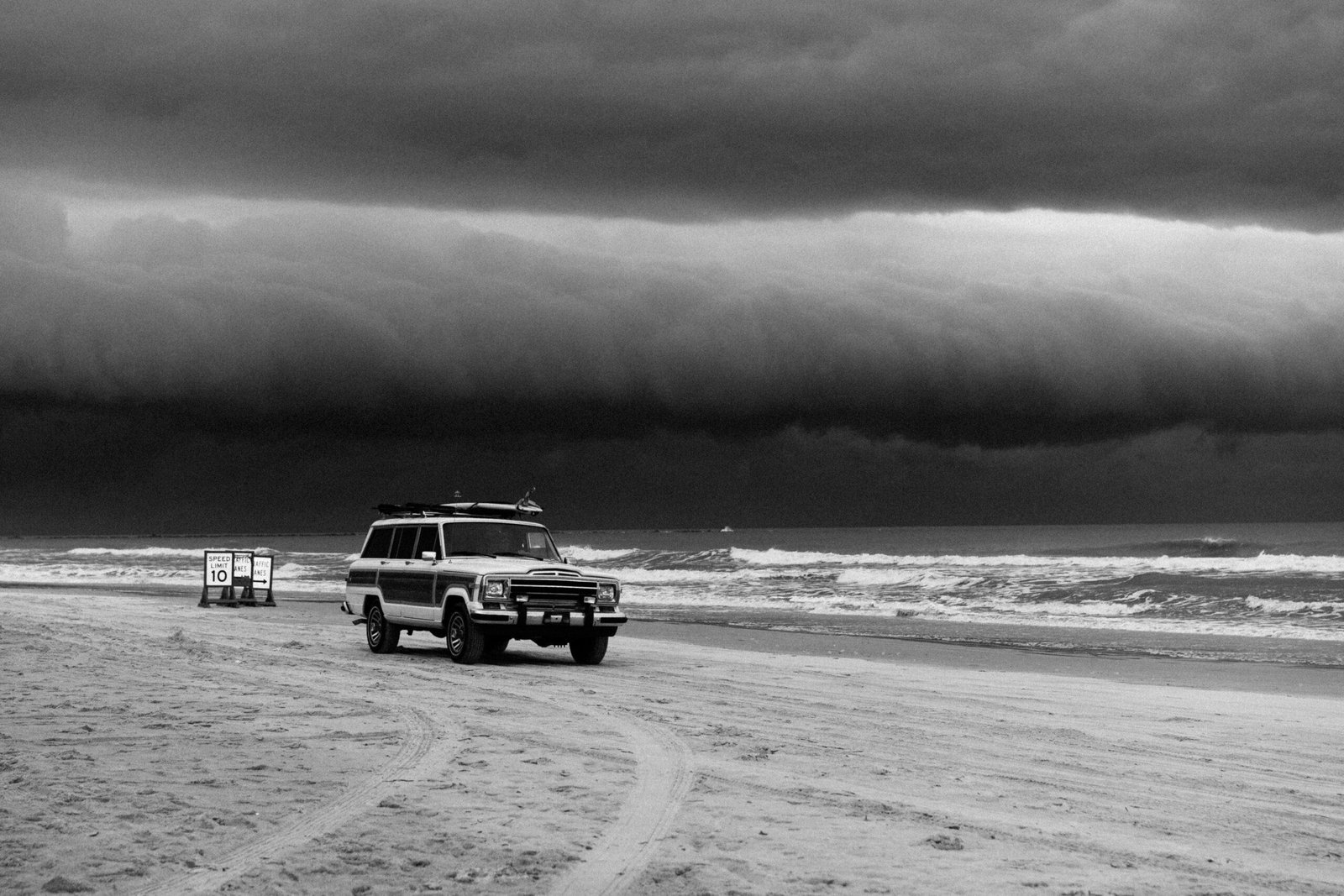 How to Cover Rescue Operation Costs with Storm Insurance for Pets