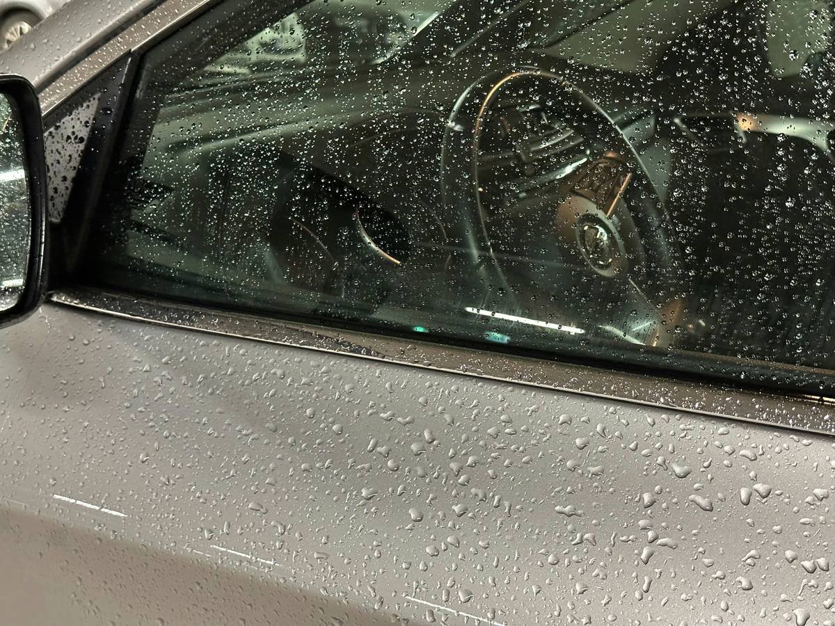 A black cat sitting inside a travel crate looking stressed