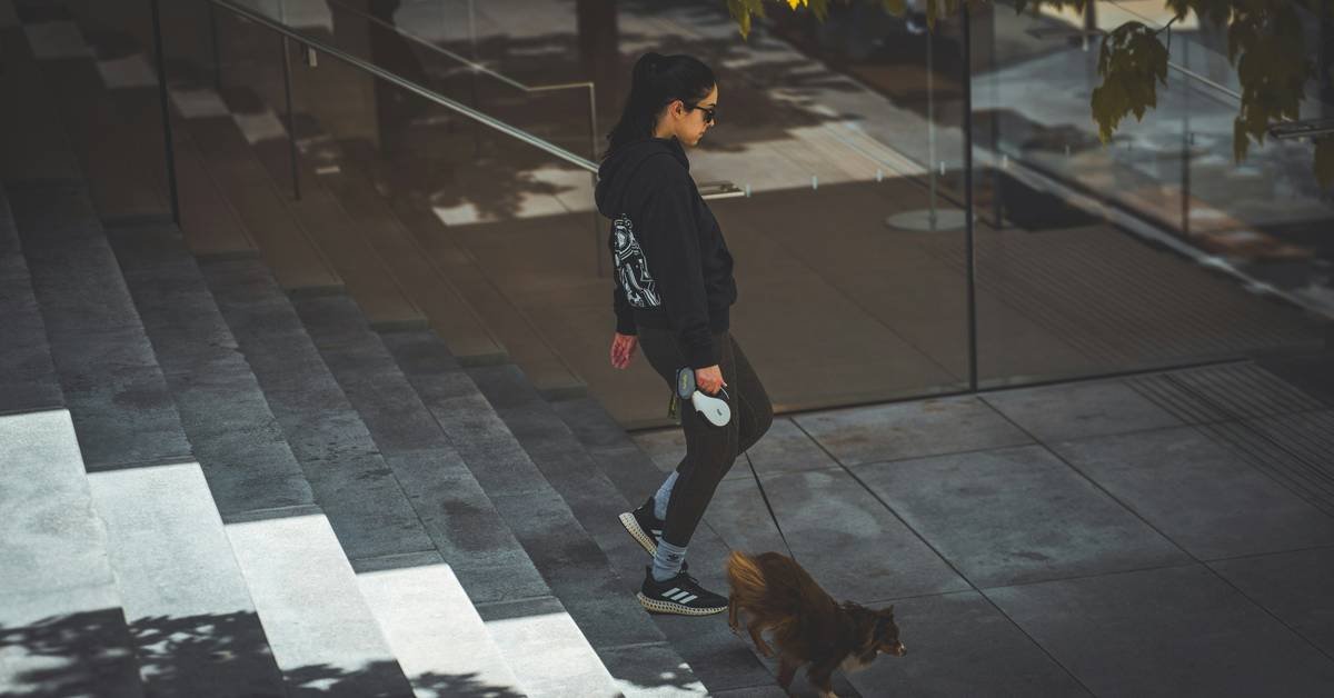 A checklist for organizing pet relocation documents