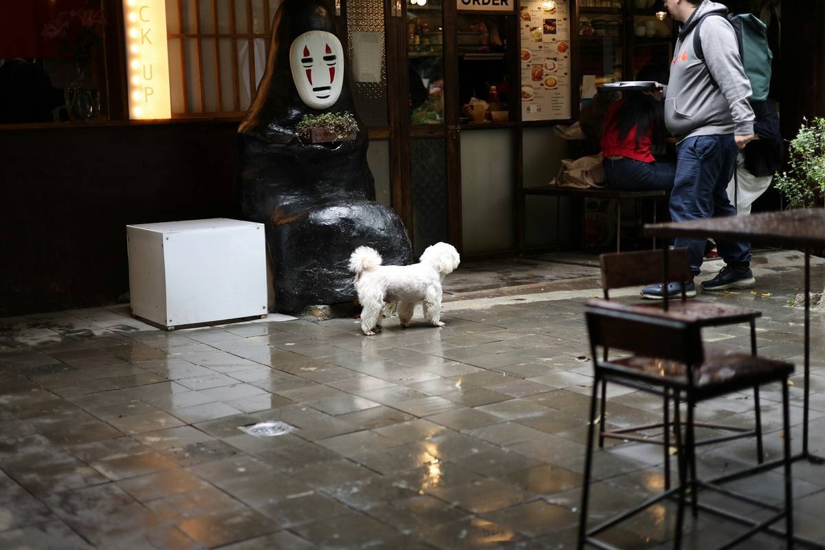 A dog sitting calmly next to its owner while water rises around them.
