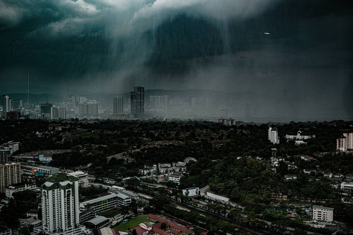 A tablet showing two different pet insurance plans side by side with pricing details highlighted.
