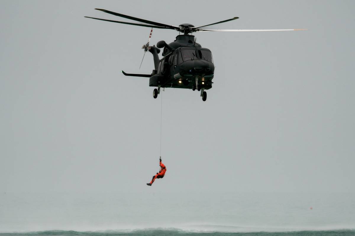 Illustration showing pets being evacuated safely during a storm