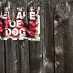 How Much is Too Much? Unpacking Pet Rescue Cost Coverage During Storms