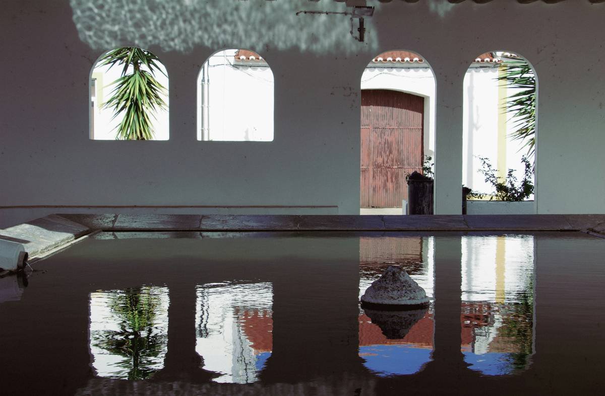 Illustration showing floodwaters surrounding a house with a dog inside.