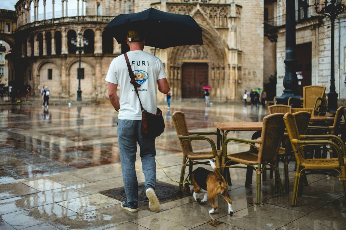 Pet Flood Coverage Plan: Protecting Your Furry Friends During Stormy Times