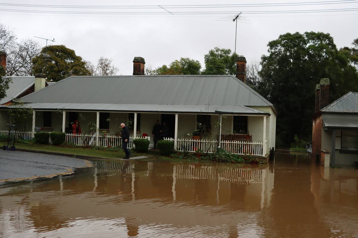 Pets being cared for in a temporary shelter after a flood