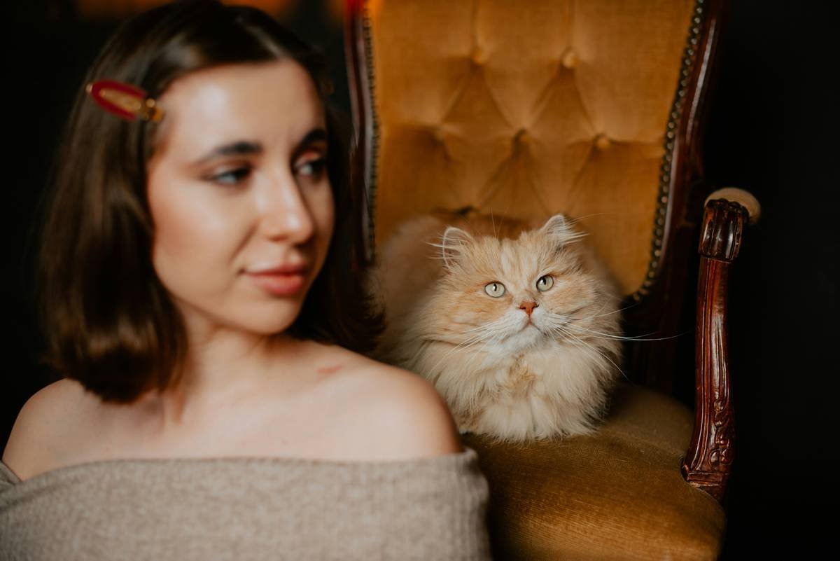 Cat Rescue Storm Insurance: How to Safeguard Your Furry Friend During Natural Disasters