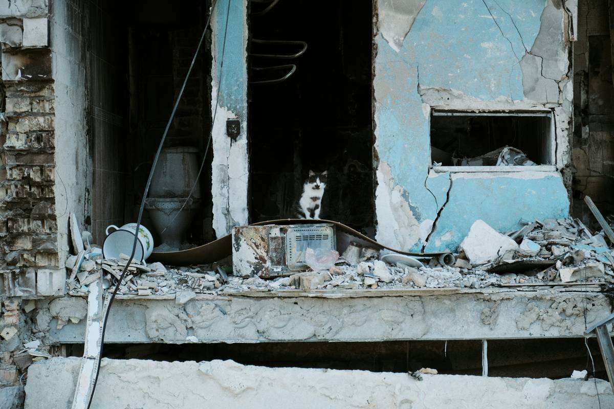 A dog wearing a life jacket sitting on a boat during a heavy rainstorm