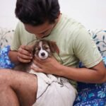 Protect Your Furry Friend: Navigating Pet Flood Damage Coverage