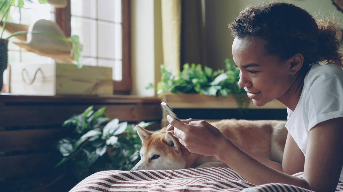 Bar chart comparing 10 major pet insurers showing only 3 offer storm evacuation reimbursement riders