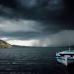 Does Your Pet Have Storm Flood Pet Insurance Coverage? Here’s What Most Owners Miss