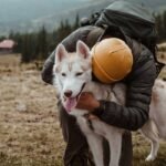 Animal Rescue Storm Insurance Coverage: What Animal Rescuers MUST Know Before the Next Hurricane Hits