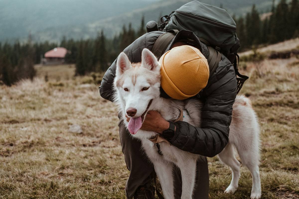 Animal Rescue Storm Insurance Coverage: What Animal Rescuers MUST Know Before the Next Hurricane Hits