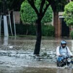 Does Your Pet Insurance Include Flood Risk Coverage? Here’s What You’re Missing