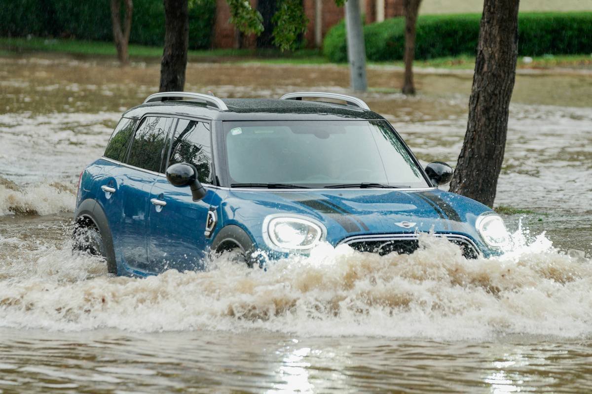 Is Your Pet Covered When the Waters Rise? What You Need to Know About Flood Pet Insurance Policy