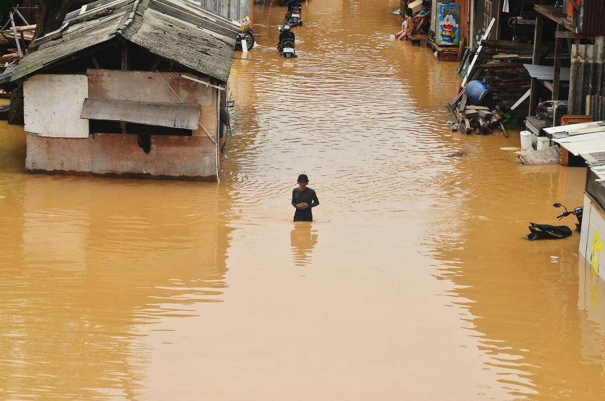 What Happens to Your Pet After a Flood? How to Navigate Flood Insurance Pet Claims