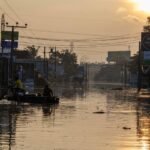 What You *Really* Need to Know About Flood Pet Insurance Plans and Coverage