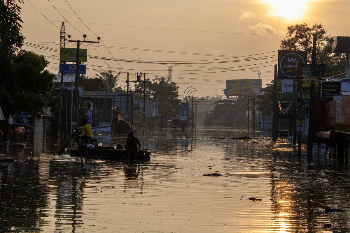 What You *Really* Need to Know About Flood Pet Insurance Plans and Coverage
