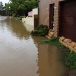 Why Your Pet Needs Flood Coverage Pet Protection—And How to Get It Right