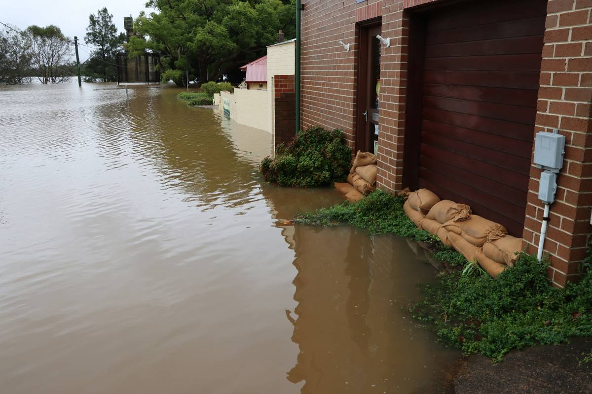 Why Your Pet Needs Flood Coverage Pet Protection—And How to Get It Right