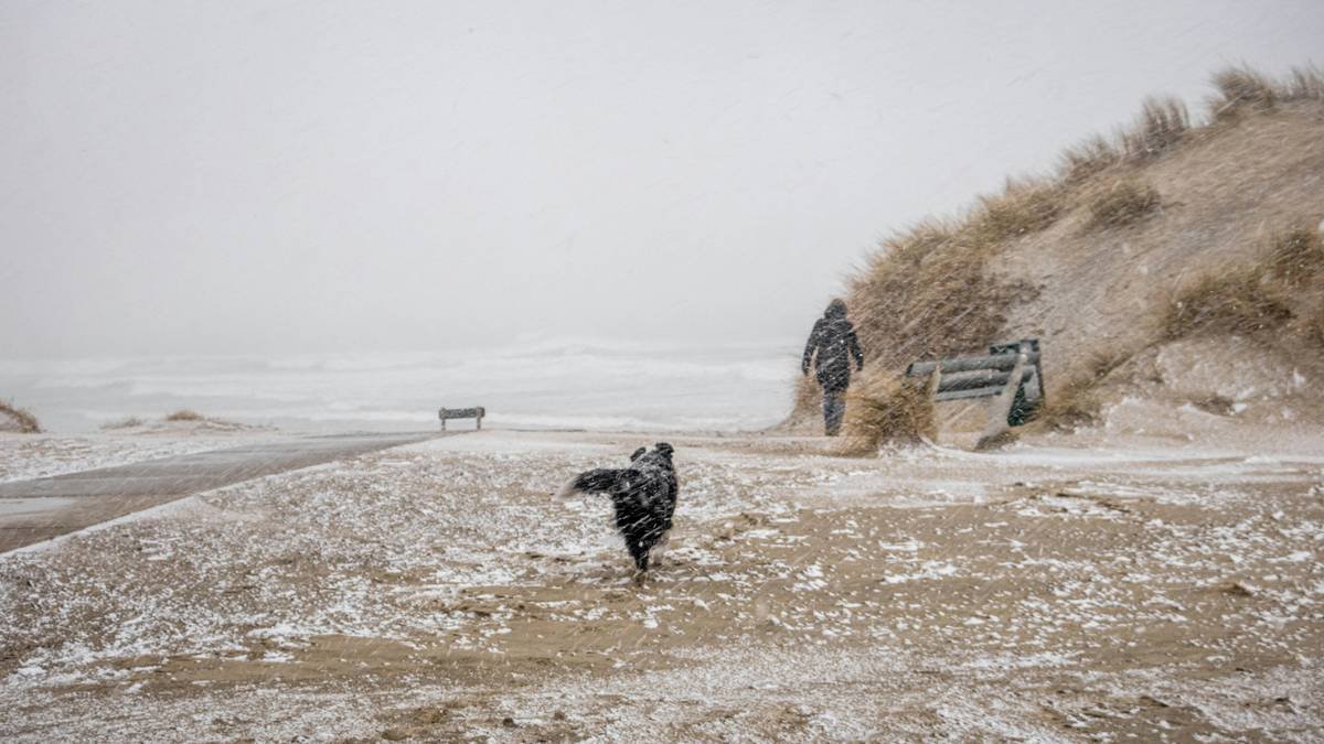 a dog walking to a women on a snowy beach in a snowstorm