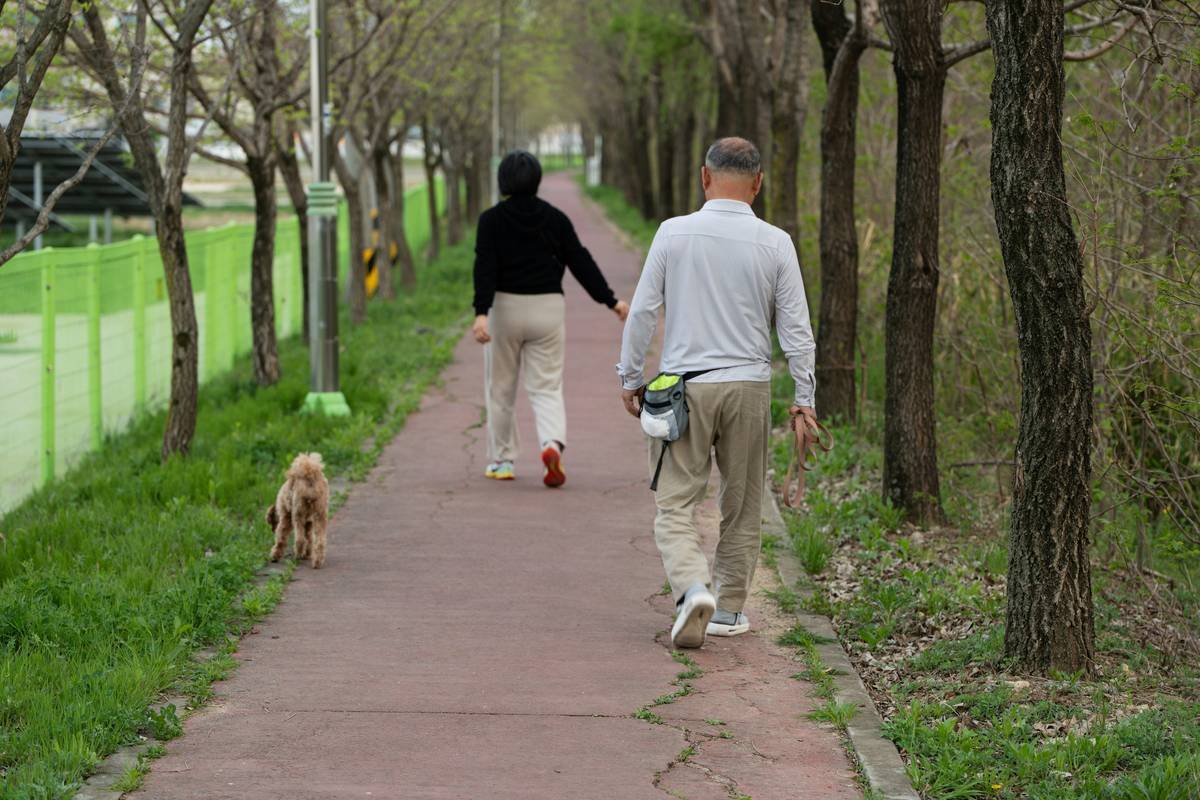 A middle-aged man and woman walking a Maltipoo puppy.