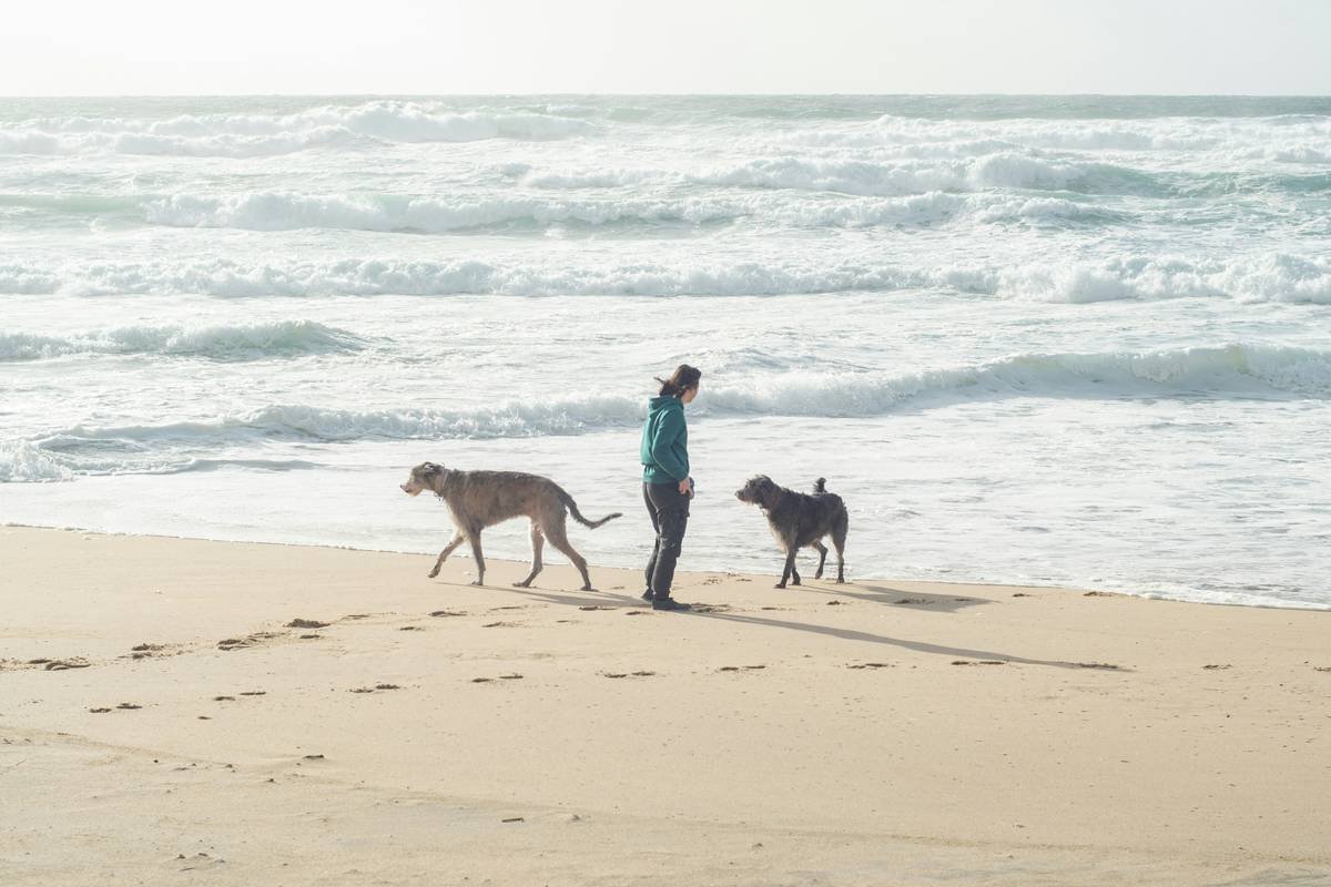 a woman walking two dogs on a beach