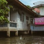 flood protection storm m s claim: How Pet Owners Can Actually Get Covered