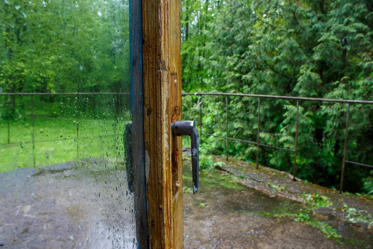 storm door with pet entry installed on suburban home during heavy rain