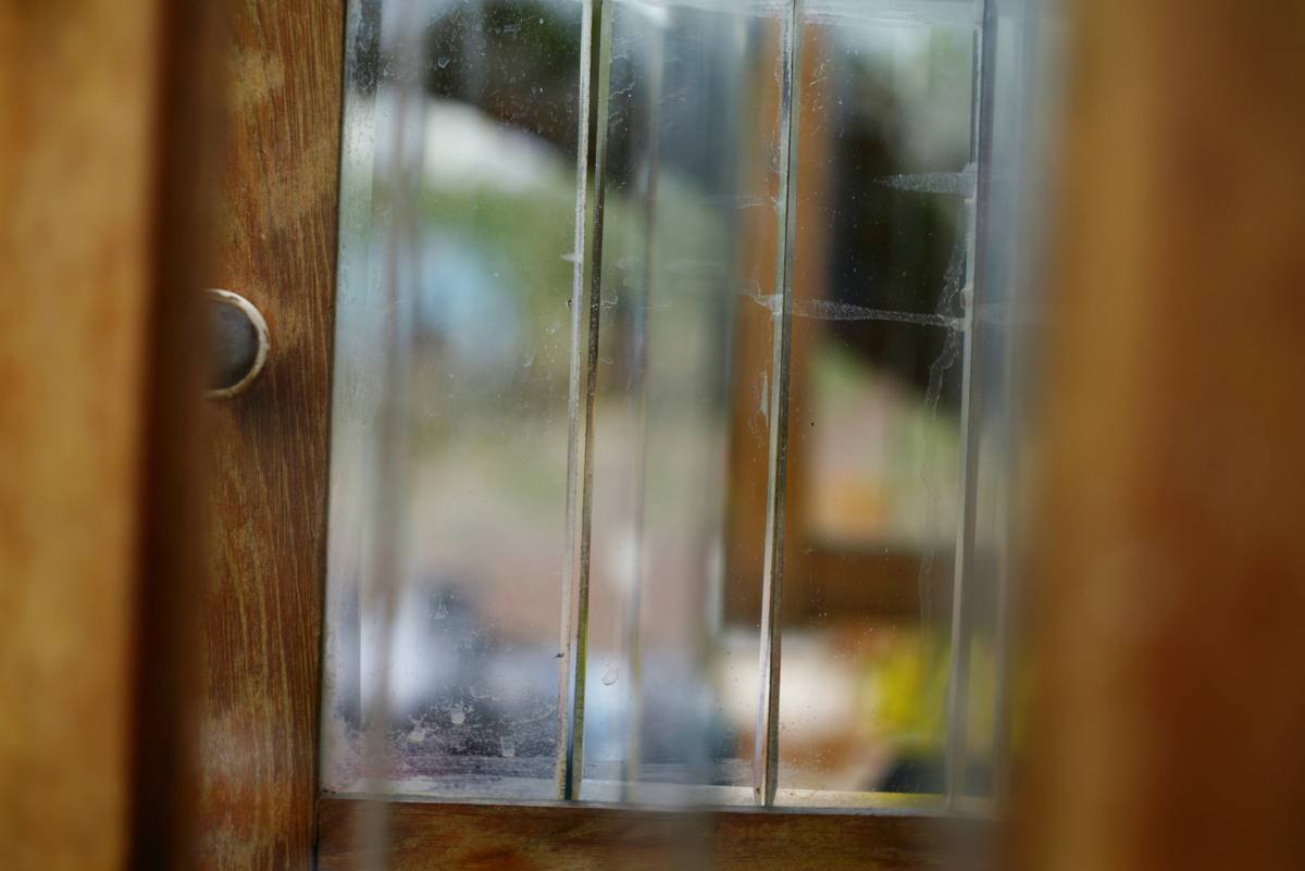 close-up of storm door with pet entry showing magnetic seal and durable flap