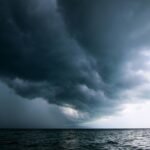 What Every Pet Owner Gets Wrong About Pet Storm Insurance Coverage