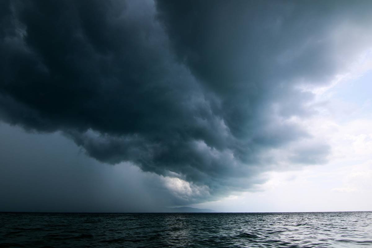 What Every Pet Owner Gets Wrong About Pet Storm Insurance Coverage