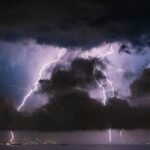 Why Your Pet Needs Pet Storm Insurance Protection—Before the Next Downpour Hits