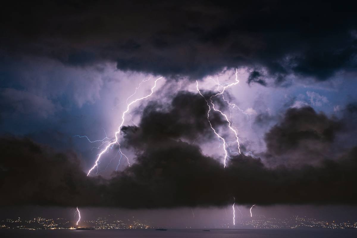 Why Your Pet Needs Pet Storm Insurance Protection—Before the Next Downpour Hits