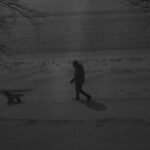 Pet Sitting Availability During Winter Storm: 7 Proven Ways to Avoid Costly Mistakes