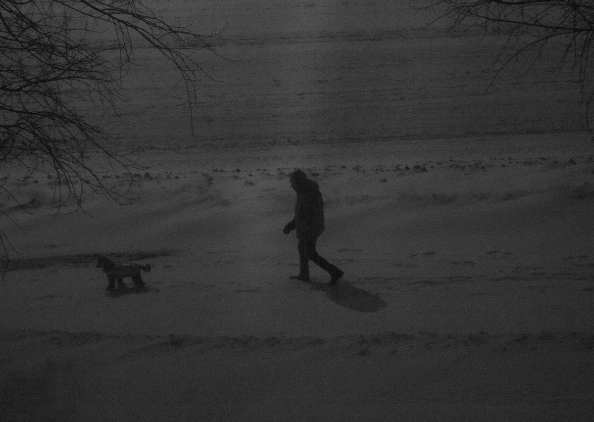 Pet Sitting Availability During Winter Storm: 7 Proven Ways to Avoid Costly Mistakes