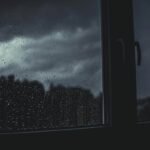 Pet Storm Insurance Claim: 7 Proven Steps to Avoid a Painful Payout Denial