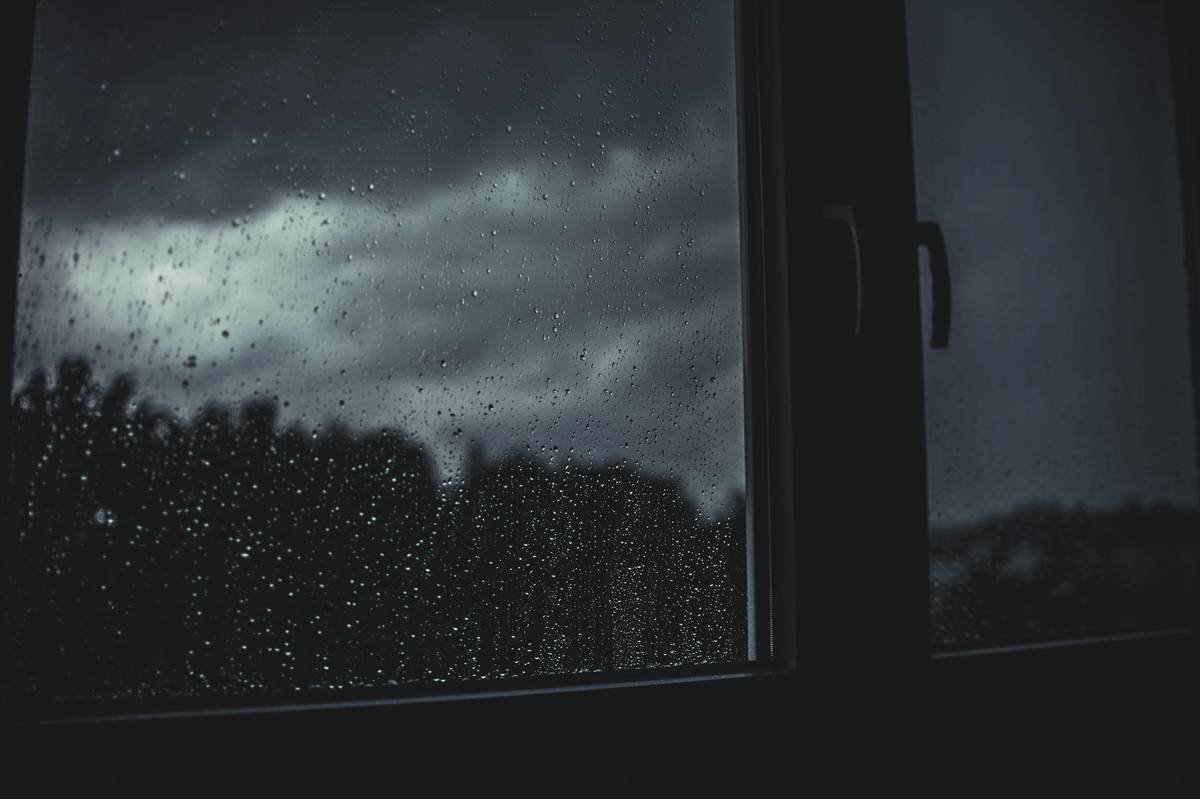 Pet Storm Insurance Claim: 7 Proven Steps to Avoid a Painful Payout Denial