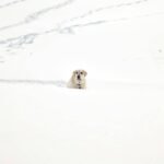 Rescue Cost Storm Dog Are Not: 7 Proven Ways to Avoid Painful Financial Surprises