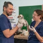 Rescue Cost Storm How Much To: 7 Proven Ways to Avoid Painful Pet Insurance Surprises