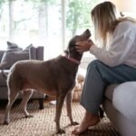 Rescue Cost Storm How To Become: 7 Proven Ways to Avoid a Painful Financial Surprise